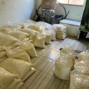 PCGO e Vigilância Sanitária interditam fábrica clandestina de laticínios em Itaberaí