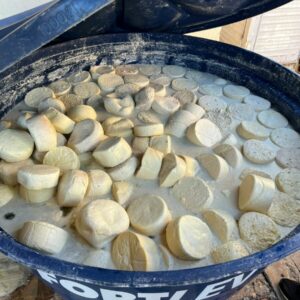 PCGO e Vigilância Sanitária interditam fábrica clandestina de laticínios em Itaberaí