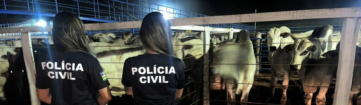 PC recolhe R$ 61 mil aos cofres públicos de carga de gado sonegada