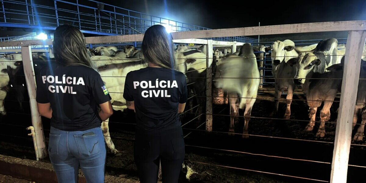 PC recolhe R$ 61 mil aos cofres públicos de carga de gado sonegada