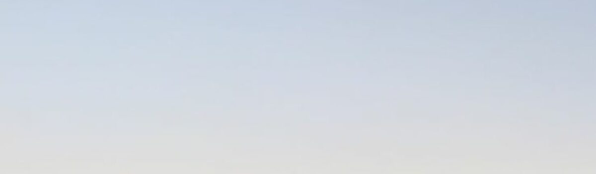 Polícia Civil apreende arma supostamente utilizada em homicídio em Alto Paraíso 