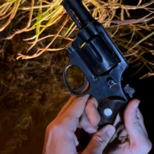 Polícia Civil apreende arma supostamente utilizada em homicídio em Alto Paraíso