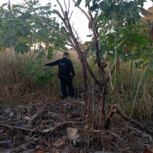 Polícia Civil cumpre mandados judiciais em Campinorte em investigação de homicídio