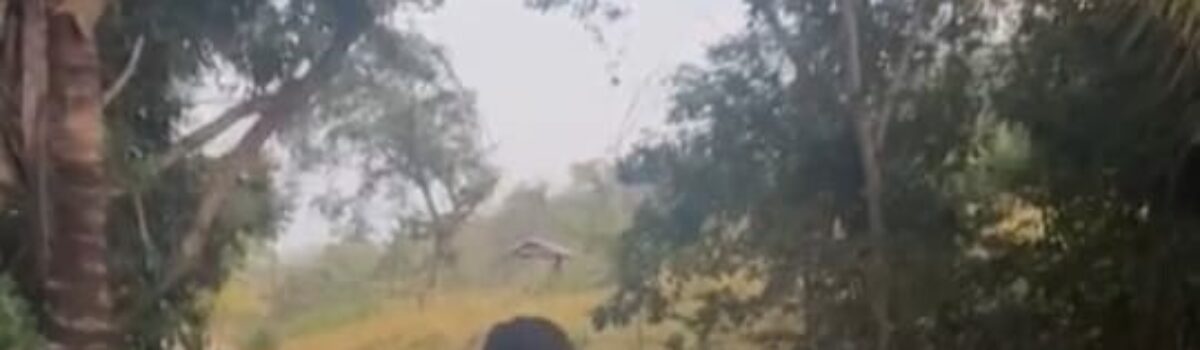 Homem é alvo de prisão preventiva após tentar matar vítima em bar de São Miguel do Passa Quatro