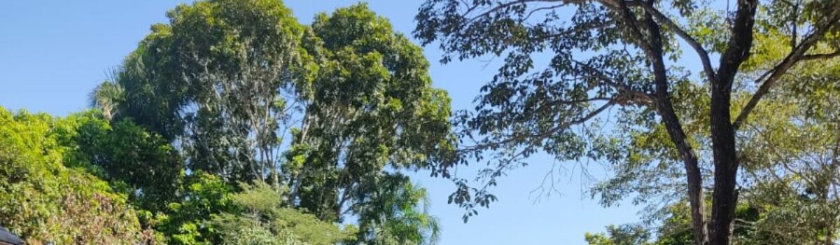 Polícia Civil prende receptador de rolo compactador furtado de consórcio empresarial