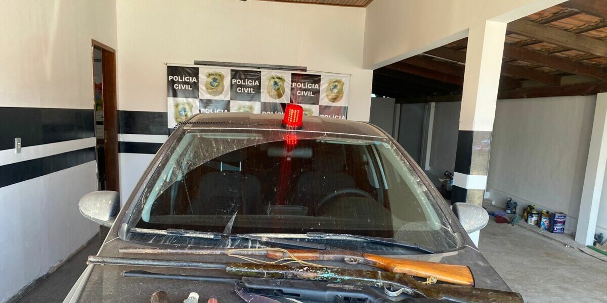 Homem é preso por posse irregular de arma de fogo em São Domingos