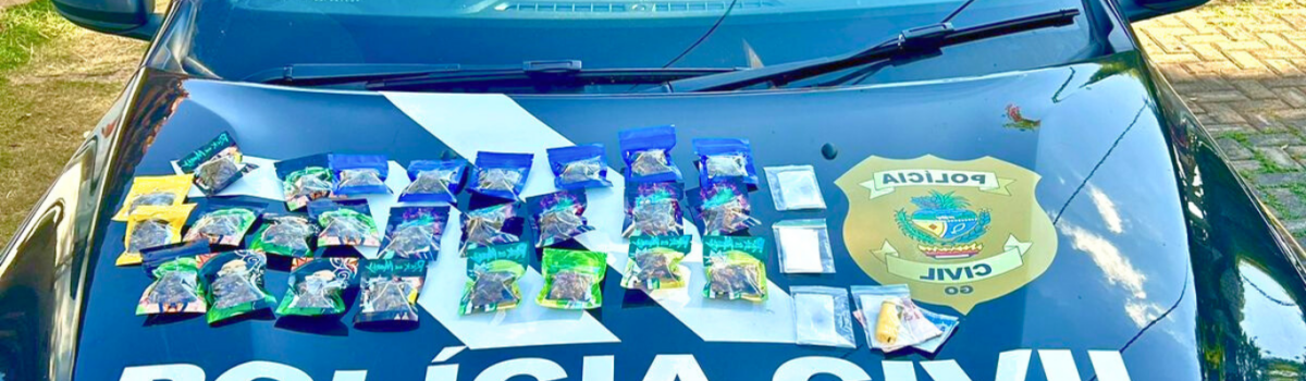 Entregador delivery de entorpecente é preso em flagrante pela PCGO