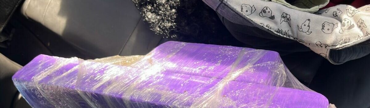 Trabalho integrado da Polícia Civil leva mulher à prisão por tráfico de drogas, em Anápolis