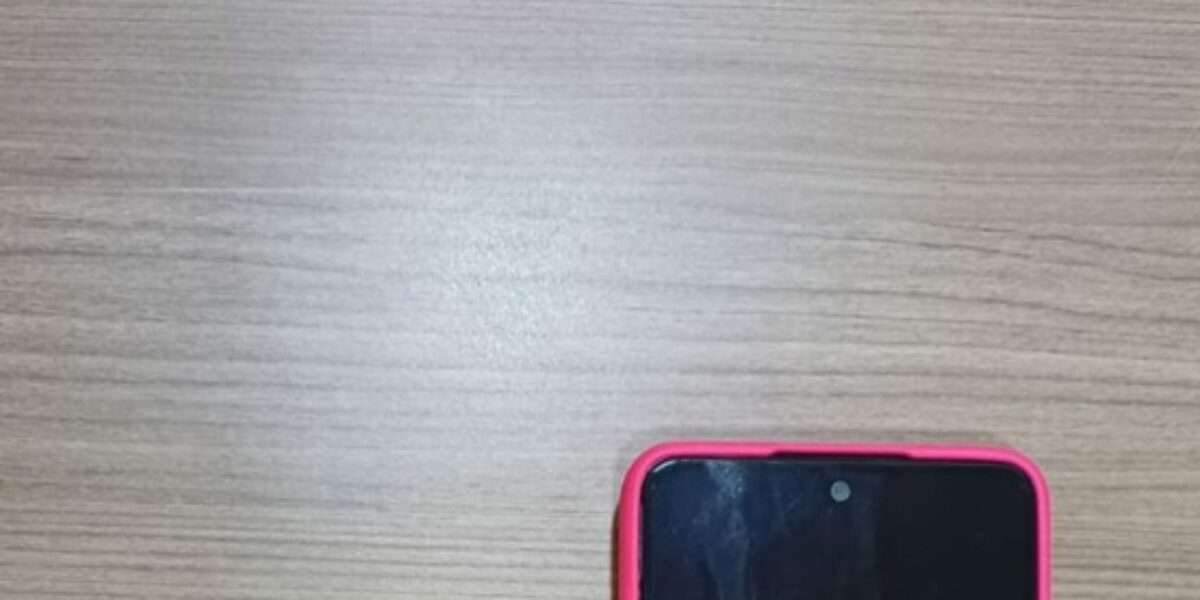 PC recupera celulares furtados em residência de Jataí