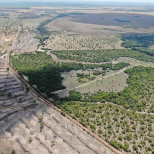 PCGO aprende à imprensa dados da Operação ‘Preserve o Rio Araguaia’