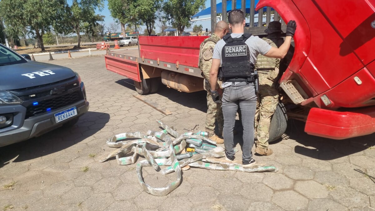 PCGO e PRF apreendem mais de 200 quilogramas de drogas sendo transportados escondidos em caminhão e prendem motorista