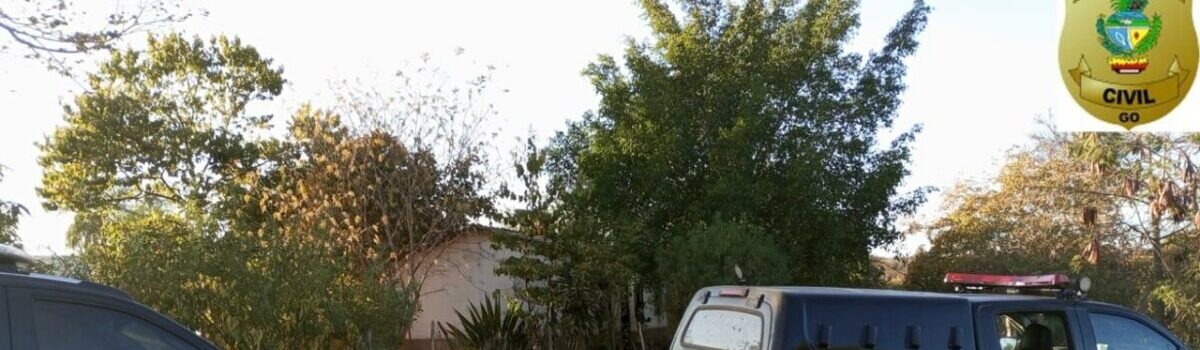 PC presta auxílio à PF na Operação Corja das Torres e efetua prisão em Posse