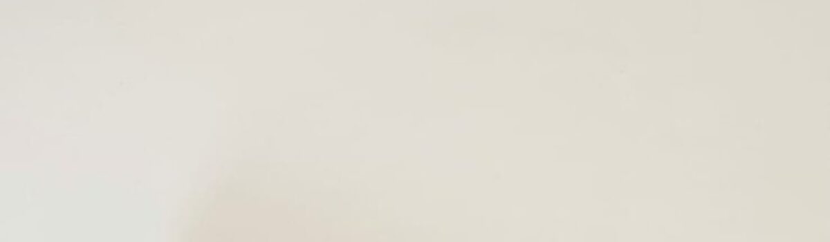 Polícia Civil prende homem por perseguição e descumprimento de medida protetiva em Goiás