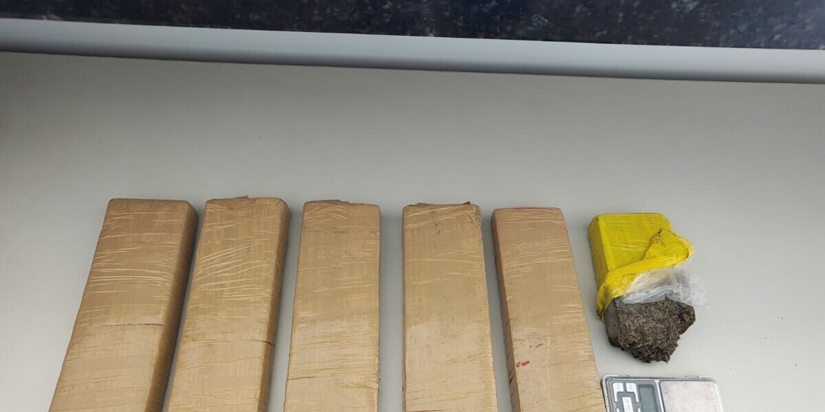 Homem é preso em flagrante por tráfico de drogas em Vianópolis