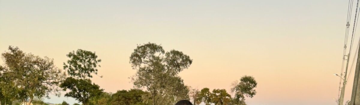 Operação da Polícia Civil prende investigados por tráfico de drogas em Poragantu