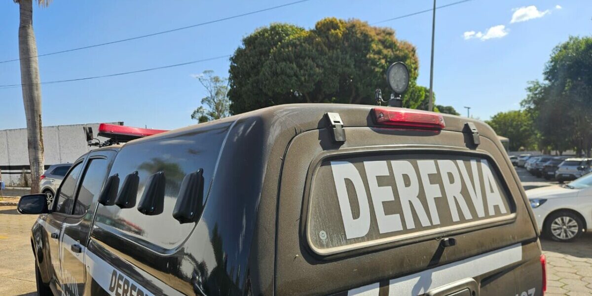 PCGO prende homem que roubou moto após vítima parar para atender telefone