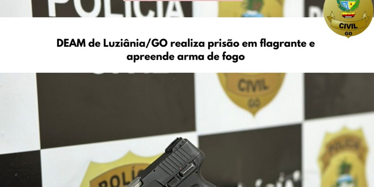 Polícia Civil prende homem que agrediu a mulher com cabo de vassoura e apreende arma de fogo