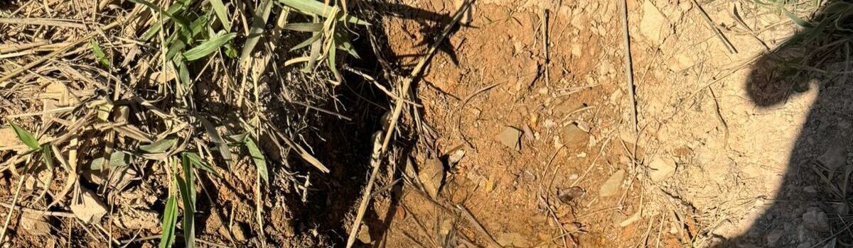 Homem é preso por desviar tubulação de água para furtá-la, em Alto Paraíso