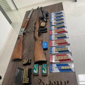 PC apreende armas e munições, em Chapadão do Céu, em investigação de violência doméstica
