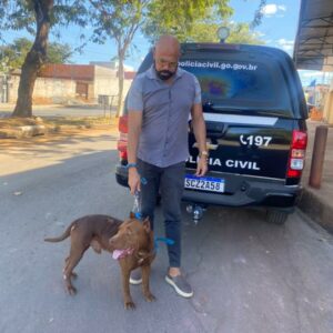 Polícia Civil prende homem que agrediu covardemente Pitbull em Formosa