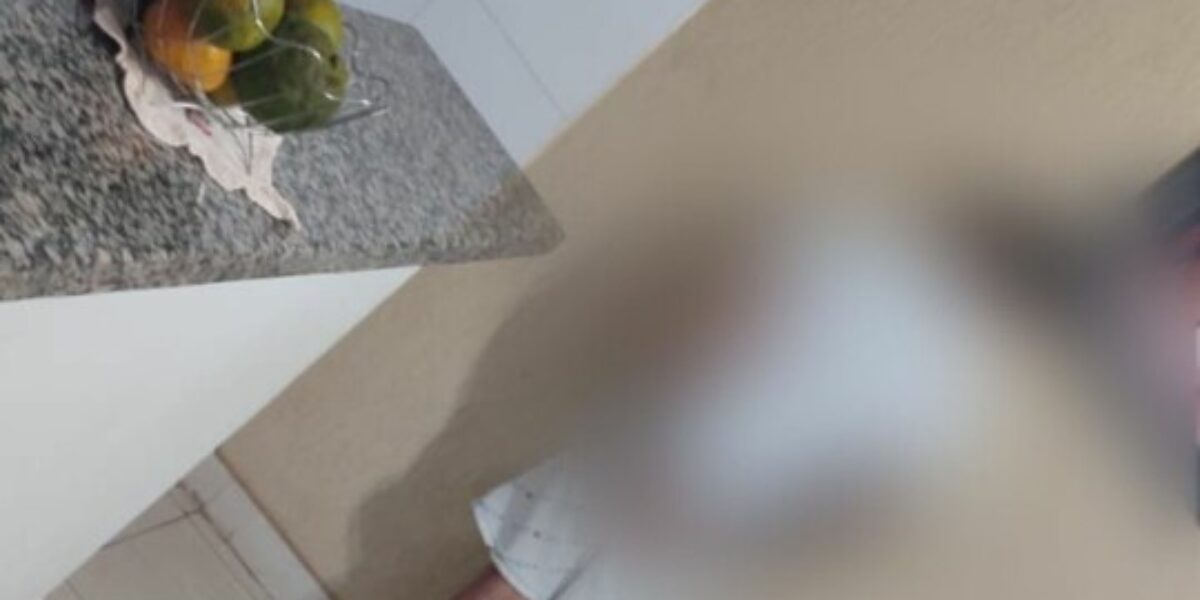 Polícia Civil prende envolvidos em associação criminosa por furto de air-bags