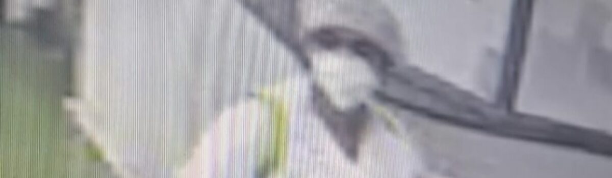 PCGO resgata recém-nascida sequestrada por médica em hospital de Uberlândia e levada para Itumbiara