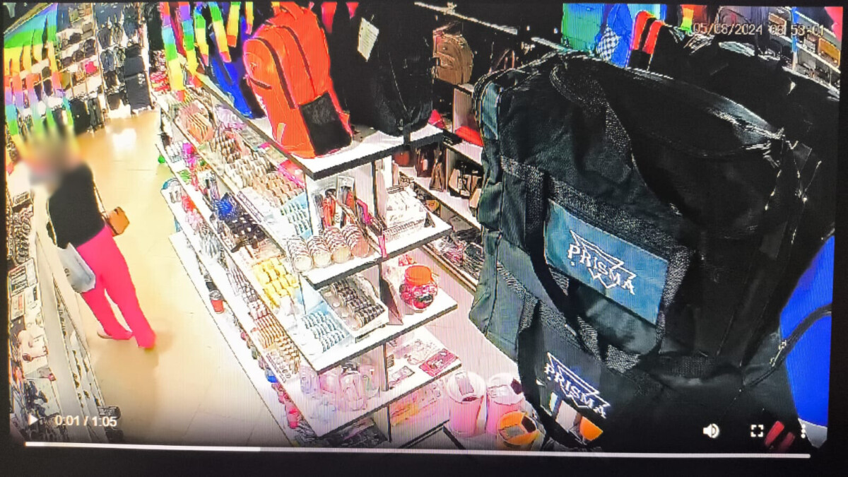 Operação Light Fingers: PCGO prende mulher em flagrante após furto a comércio e apreende armas em sua residência