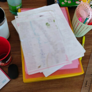 Operação Tolerância Zero: Oito pessoas são presas em flagrante por golpe do falso financiamento e seis empresas são interditadas