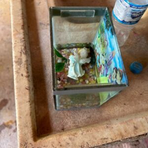 PCGO resgata cães que foram abandonados em GO após tutor se mudar para o MA e deixar os animais trancados em casa e sem alimentação