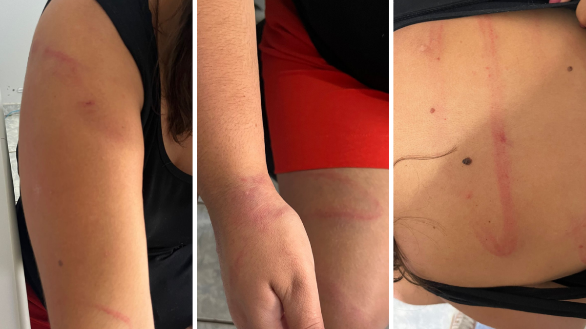 PCGO prende homem em flagrante por agredir ex-companheira com golpes de mangueira