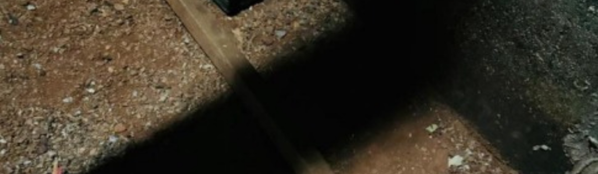 PCGO prende em flagrante homem que tentou matar outro com golpes de pedaço de madeira em Orizona