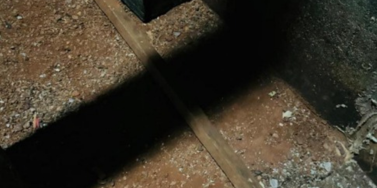 PCGO prende em flagrante homem que tentou matar outro com golpes de pedaço de madeira em Orizona