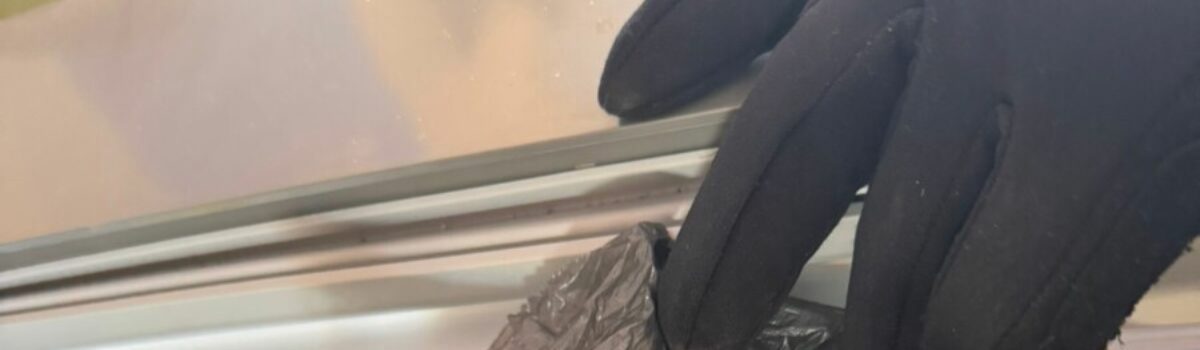 Operação contra o tráfico de drogas resulta na prisão de duas pessoas em Mozarlândia