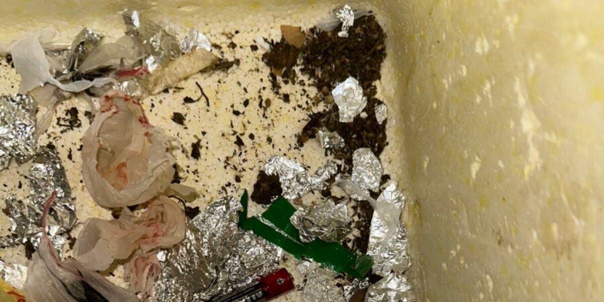 Homem é preso em flagrante por tráfico de drogas em Campinorte