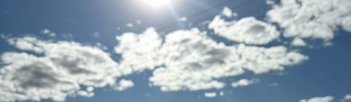 Operação conjunta cessa furto de energia elétrica em propriedade rural de Paraúna