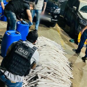 Polícia Civil apreende quase 1 tonelada de explosivos, a maior apreensão deste material em Goiás