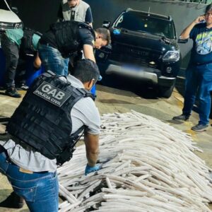 Polícia Civil apreende quase 1 tonelada de explosivos, a maior apreensão deste material em Goiás