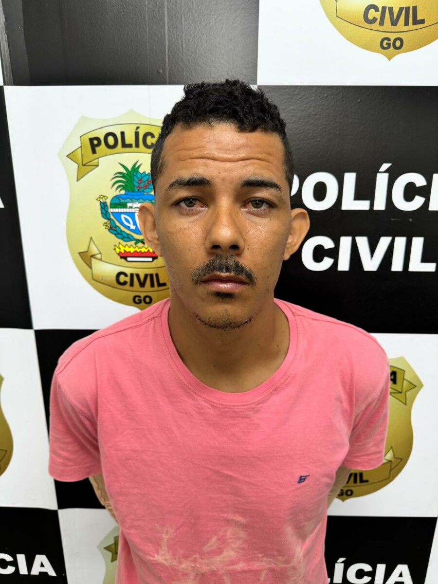 PCGO prende investigado por roubar residência de idosa e agredi-la