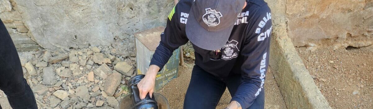 Operação Novo Lar: PCGO resgata jabuti e cadela em situação de maus-tratos em Luziânia