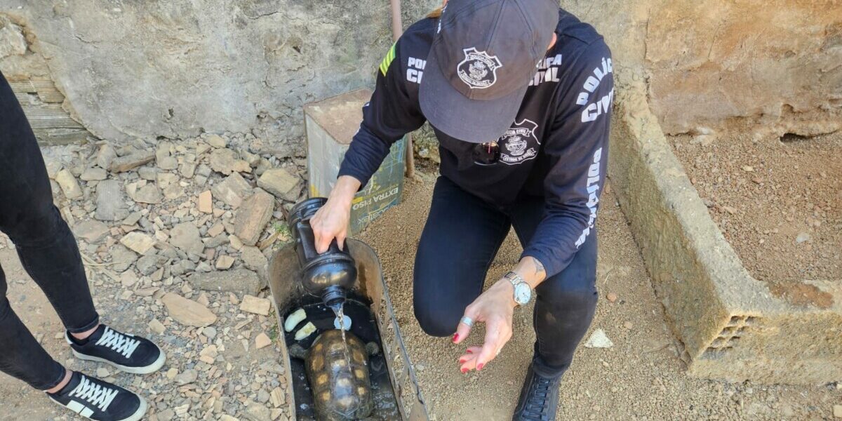 Operação Novo Lar: PCGO resgata jabuti e cadela em situação de maus-tratos em Luziânia