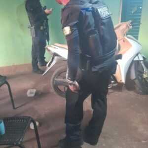 ‘Remanescentes’: PCGO prende 5 investigados por roubar, matar e jogar vítima aos porcos em Rio Verde