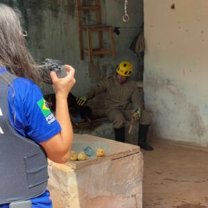 PCGO resgata cães que foram abandonados em GO após tutor se mudar para o MA e deixar os animais trancados em casa e sem alimentação