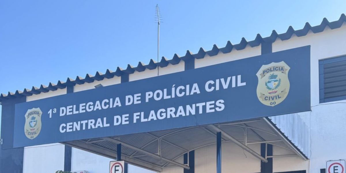 PCGO prende motorista por atropelar cadela prenha; Ele estava com CNH suspensa desde 2012