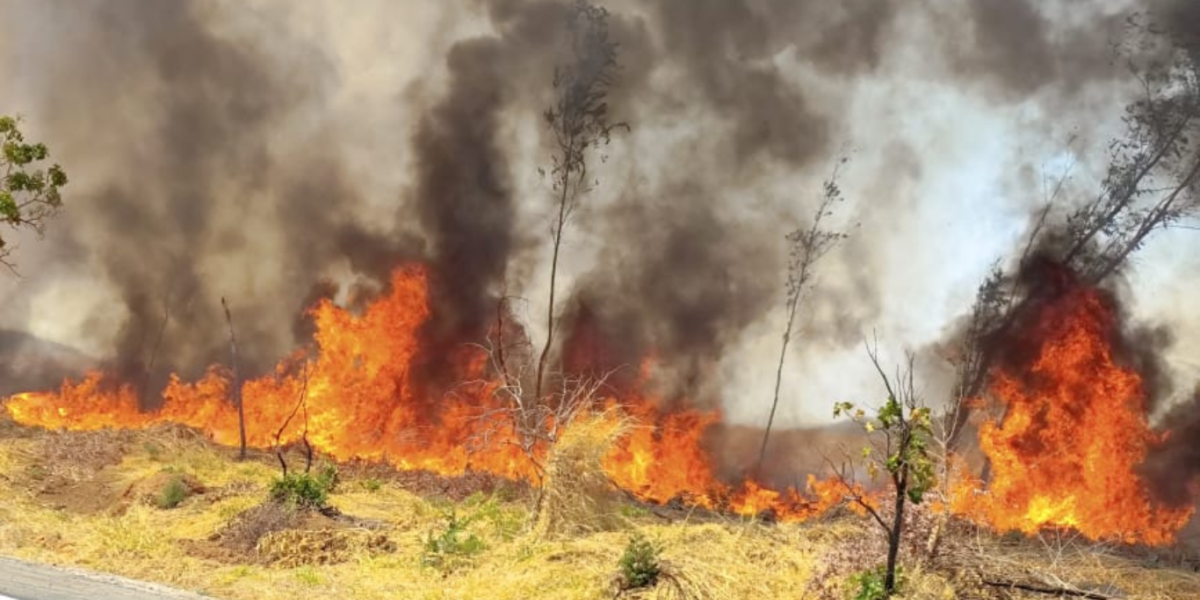PCGO prende homem por causa incêndio em Assunção de Goiás