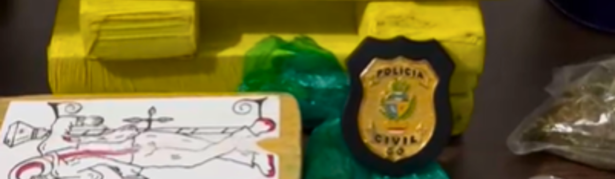 Após apreensão de quase 100kg de maconha, PCGO identifica distribuidor, apreende mais 25kg e prende suspeito