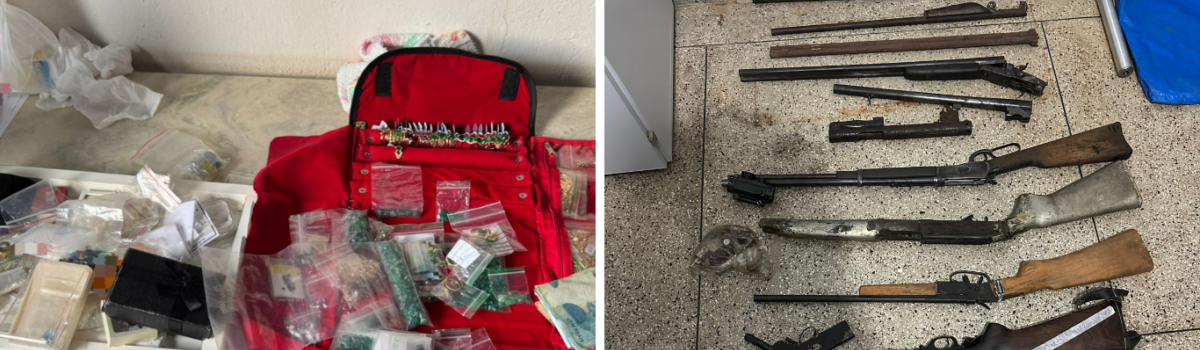 Operação Tessitura: PCGO prende 7 por tráfico, rinha de galos, posse de arma de fogo e joias e pedras preciosas sem comprovação de origem