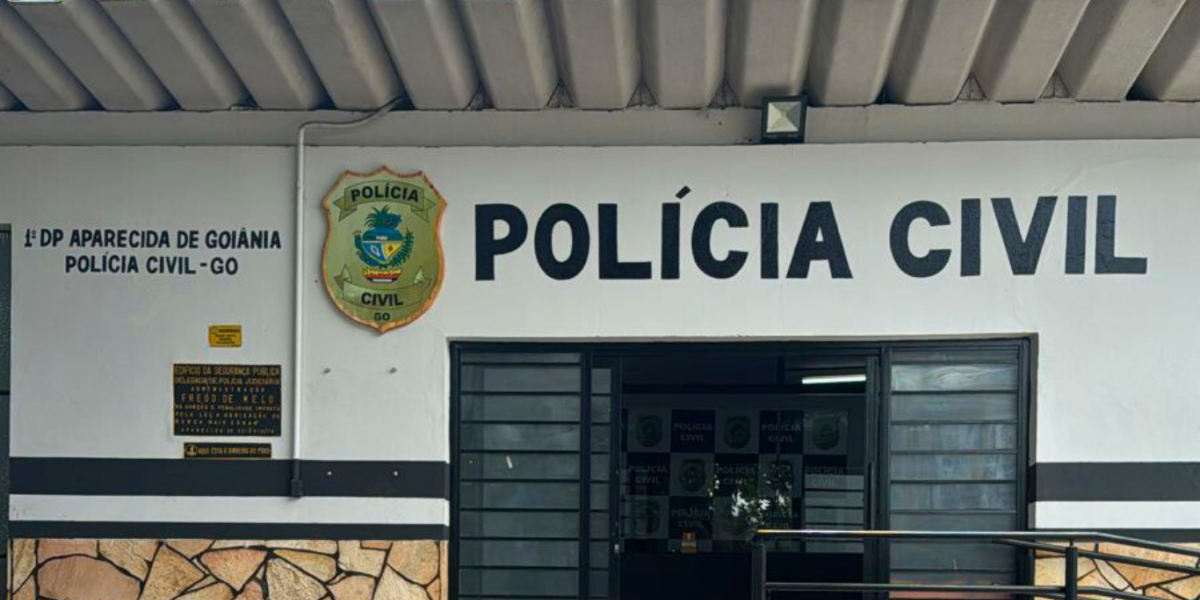 PCGO apreende adolescente por anunciar arma de gel na internet, receber pix de venda e não entregar mercadoria
