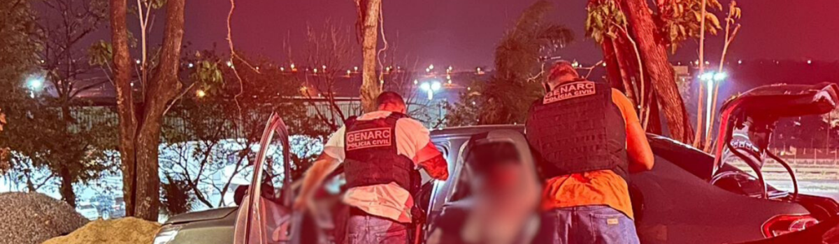 PCGO prende em flagrante dupla que transportava arma de fogo e munições de MG para GO