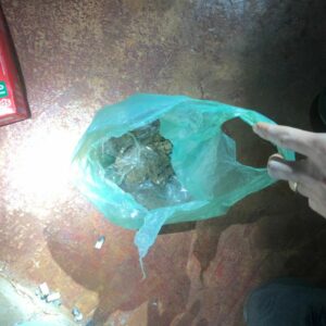 NEXUS: PCGO deflagra operação em Rio Verde e região para cumprir mais de 20 medidas judiciais contra tráfico de drogas