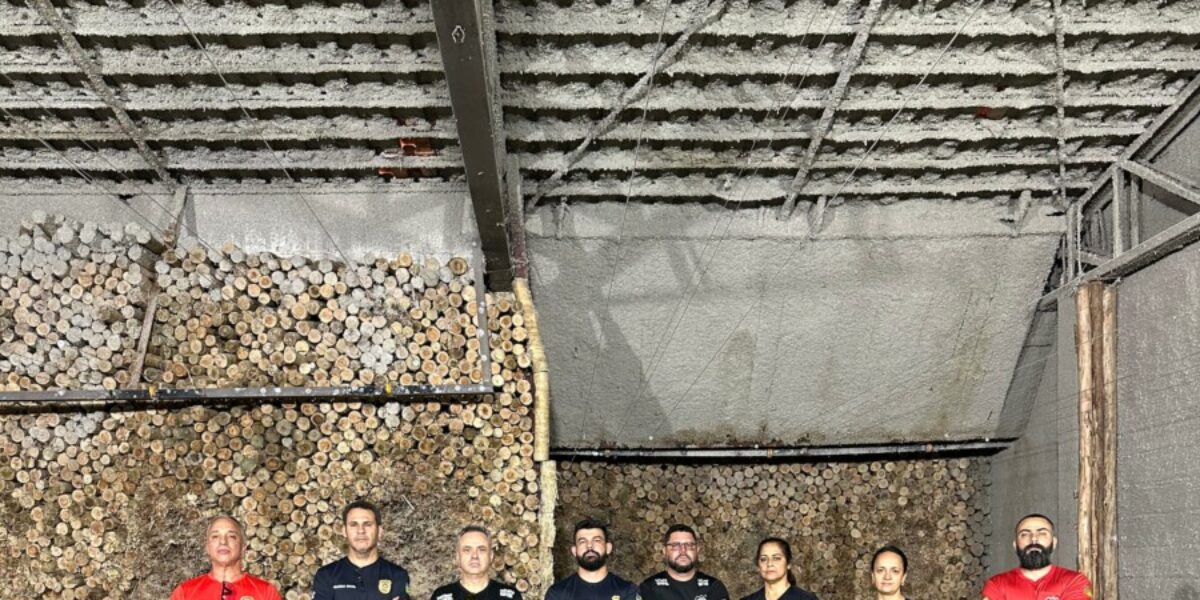 Policiais civis fazem treinamento especial para aperfeiçoamento com pistola Beretta